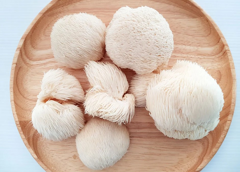 A Heartfelt Thankyou and some Reflections on Lion’s&nbsp;Mane