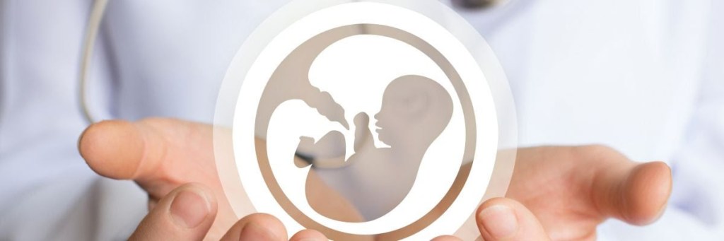 The Issue Before Us: Protecting Life in&nbsp;Virginia